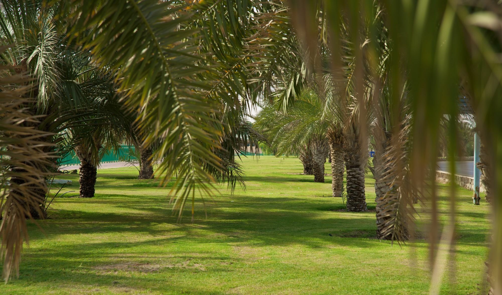 Green Mubazzarah Chalets Al Ain Bagian luar foto