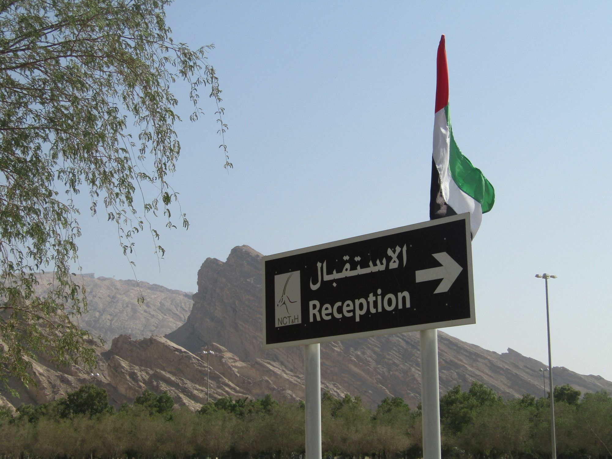 Green Mubazzarah Chalets Al Ain Bagian luar foto